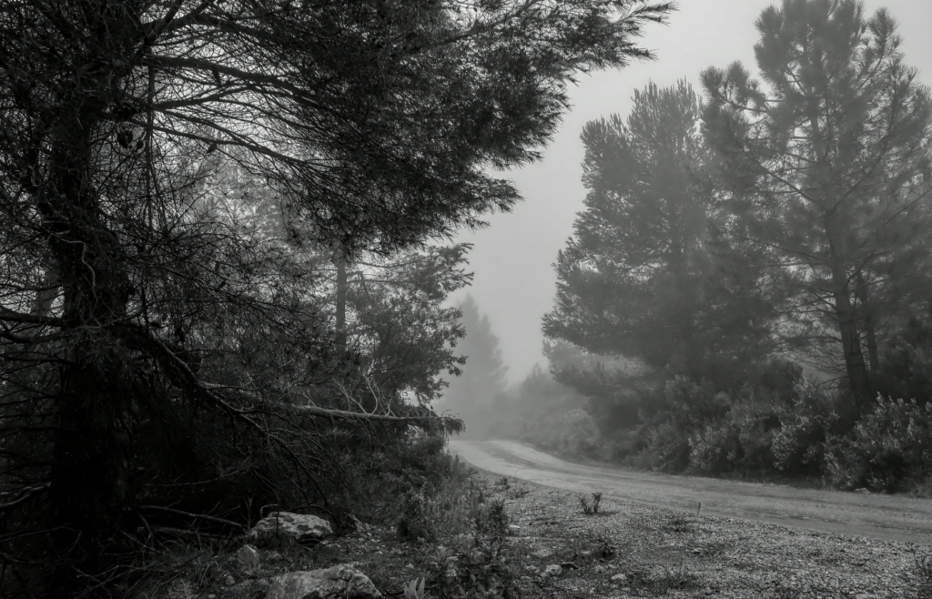 Rain falling on a forest or city with gray skies