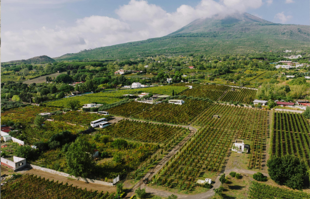 Lush farmland at the base of a volcano