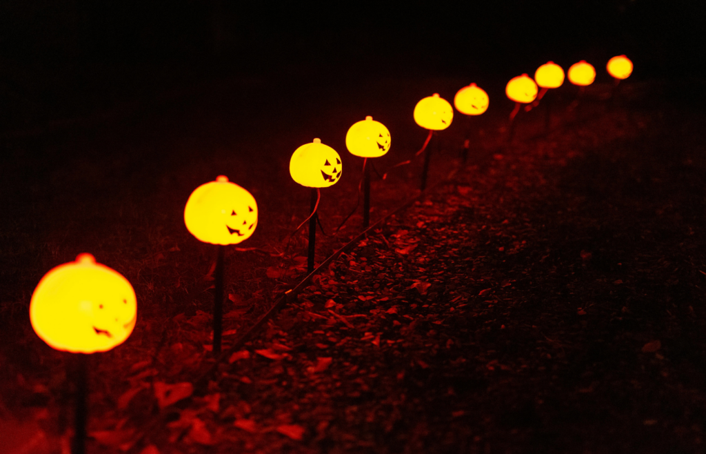 A several garden lights inside during a blackout
