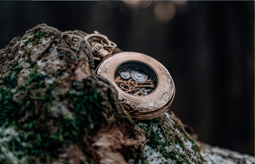 Gold Chain Watch frozen in time