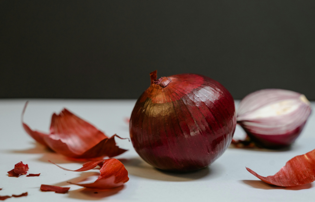 An onion and inspecting its layers