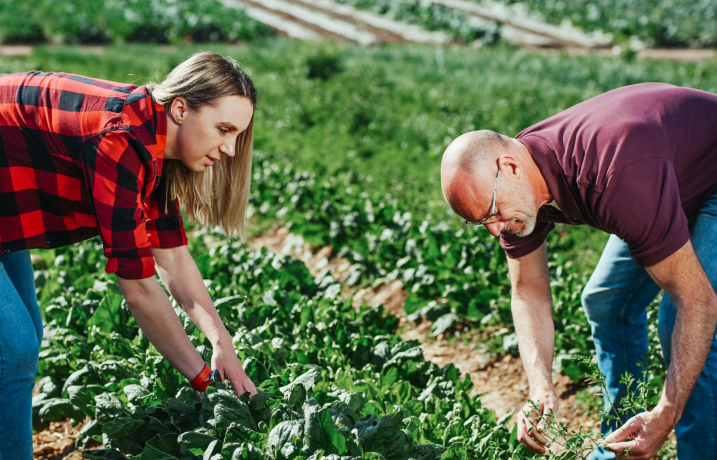 Man and Woman checking the vegetables