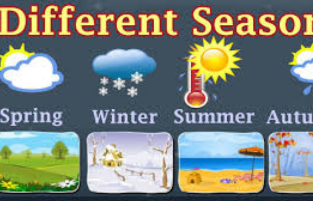 Collage of different weather conditions across the seasons