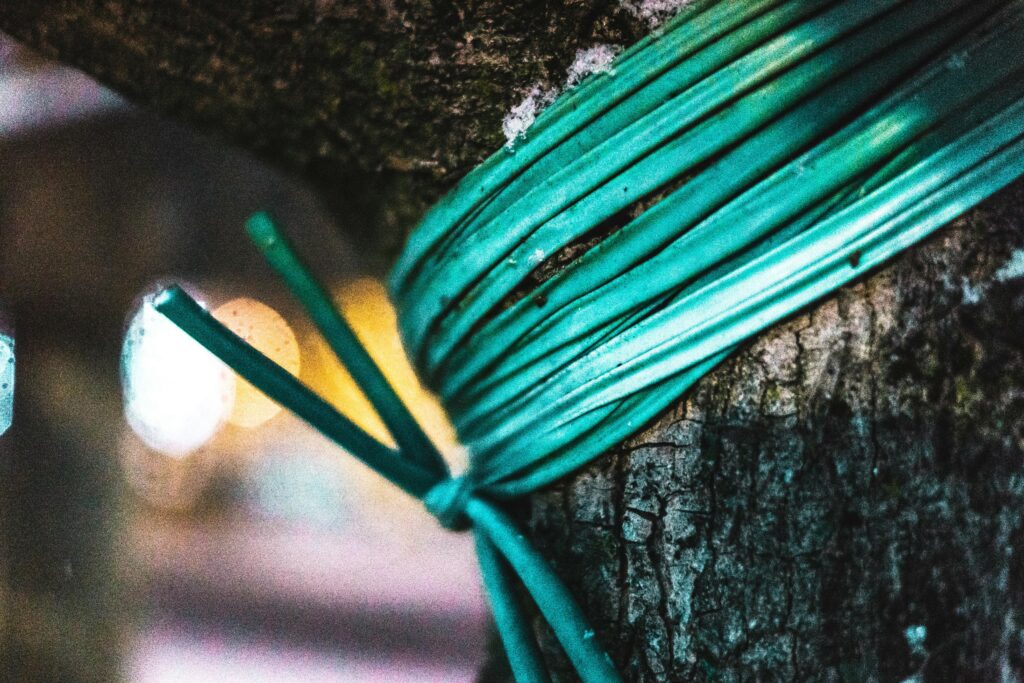 Green Rope Tied on Tree
