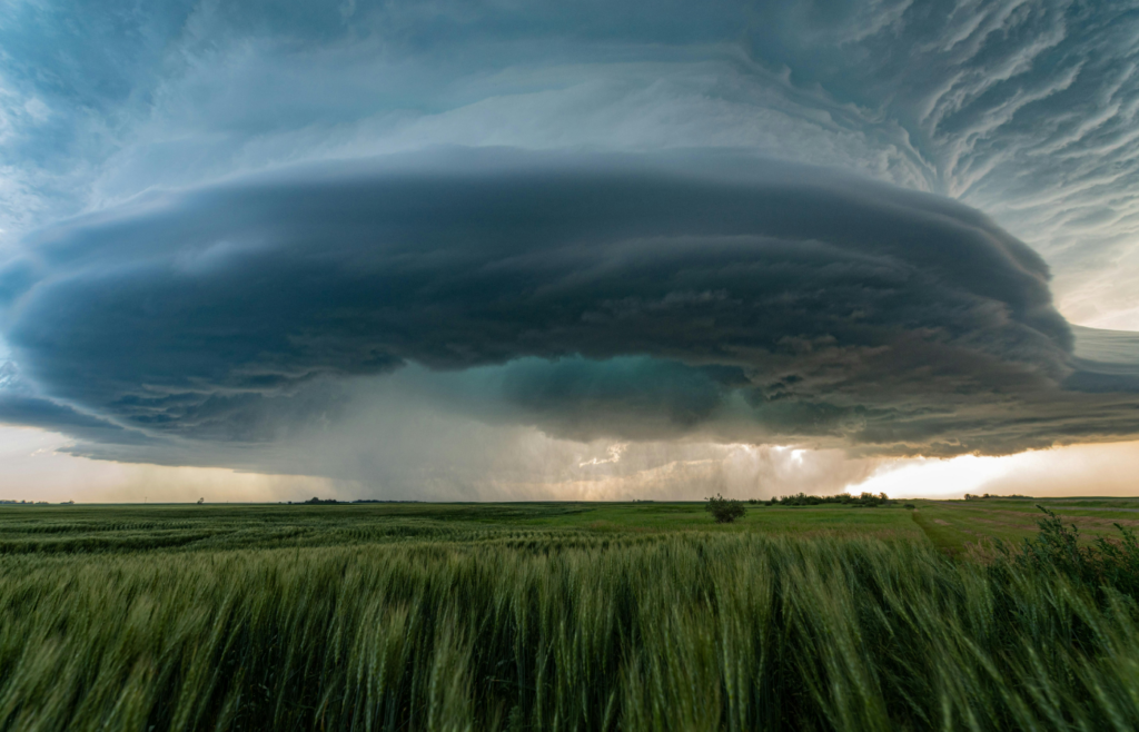 Field and Storm