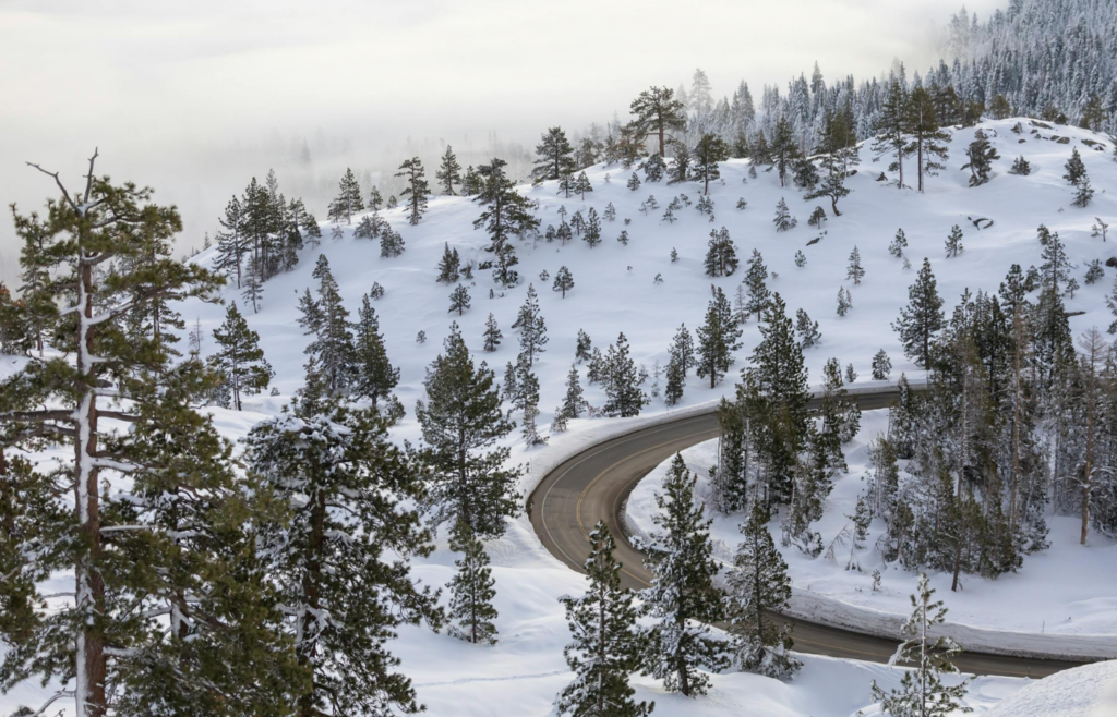 Scenic Winter Road Curves Through Snowy Forest