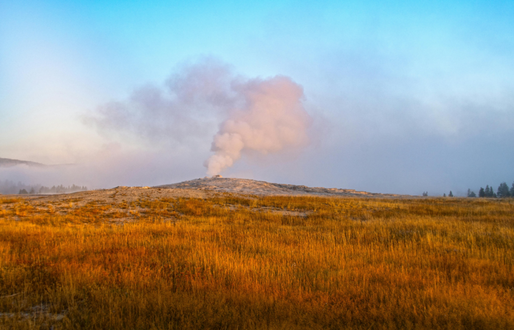 Scenic View of a Grassy Field
