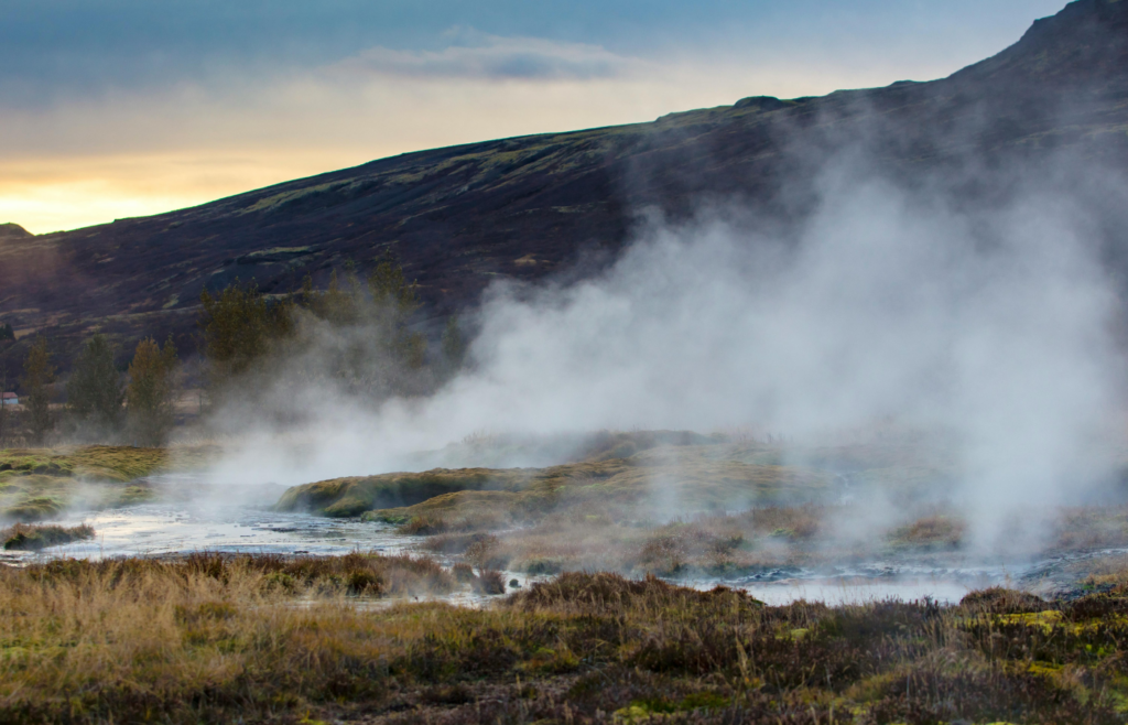 A steamy hot spring in the middle of a field