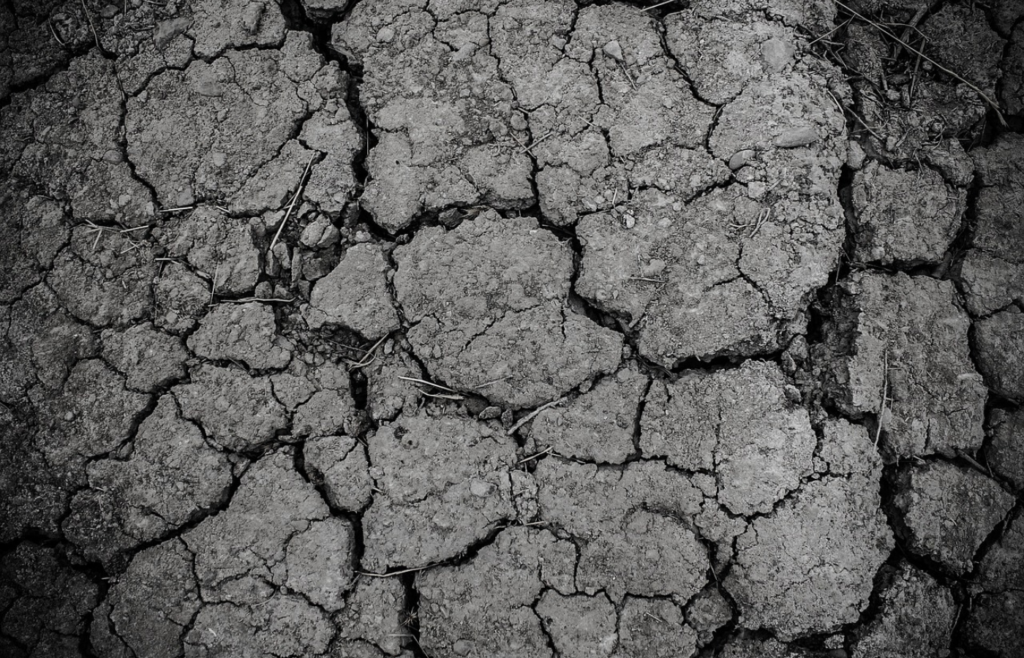 Cracked dry soil texture in black and white