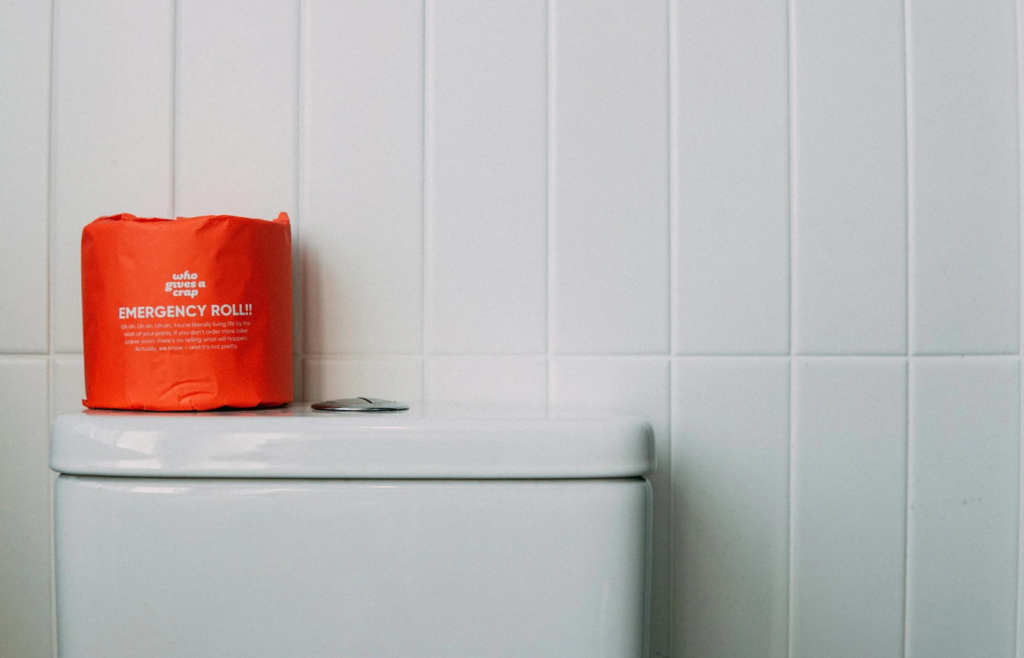 Emergency sanitation kit with portable toilet and hygiene products
