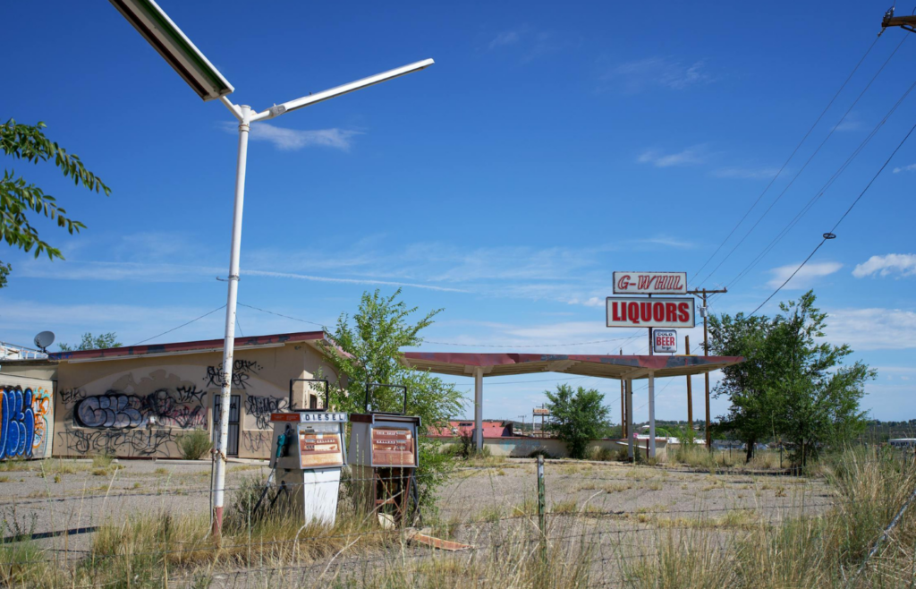 A desolate urban landscape with signs of regrowth
