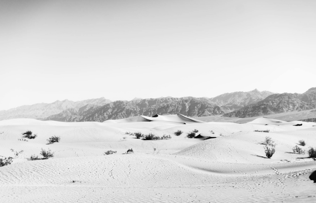 Rippling sand dunes meet distant mountains