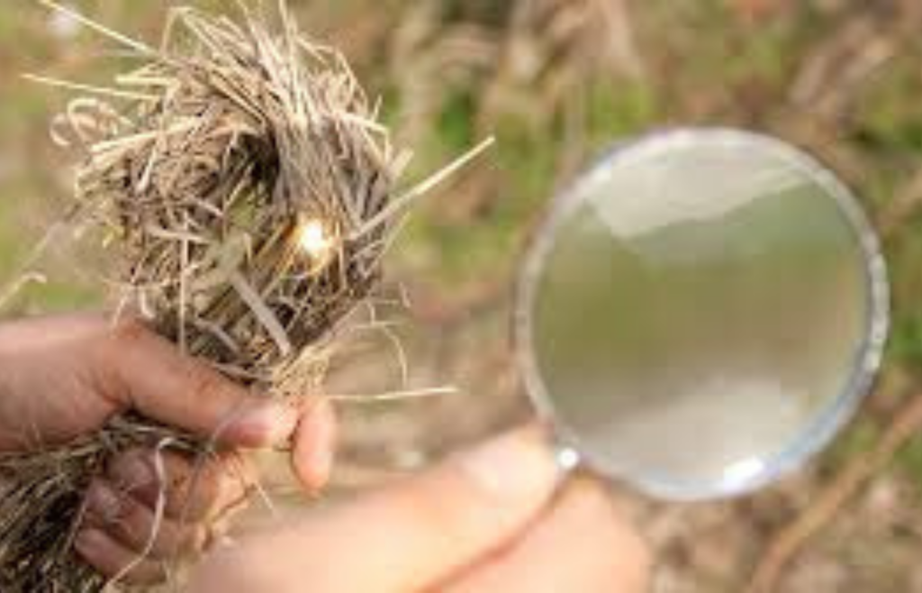 Magnifying lens focusing sunlight onto tinder to create fire