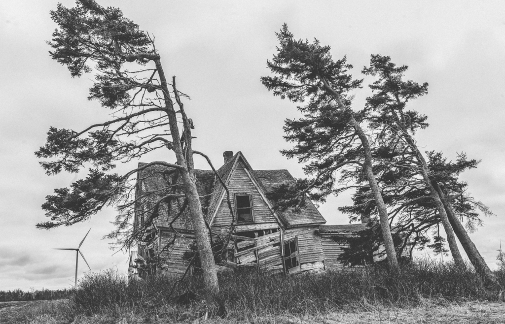 Trees bending under powerful winds