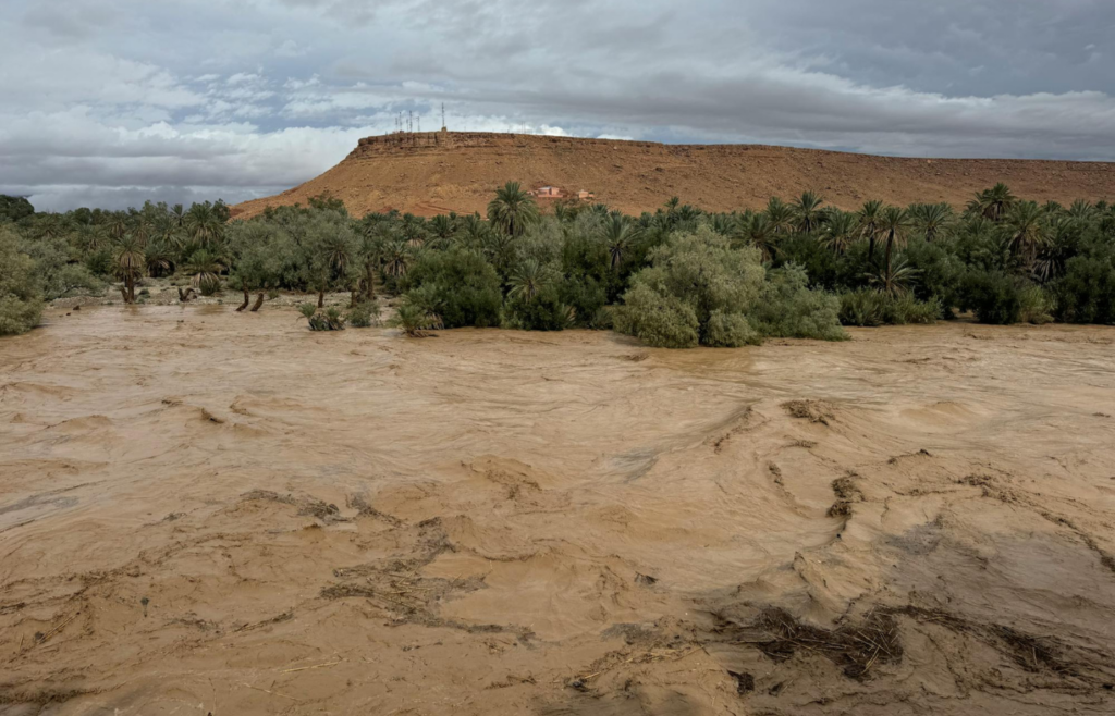 Collage showing contrasting weather conditions—floods and droughts