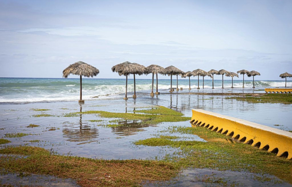 Flooded coastal streets during high tide