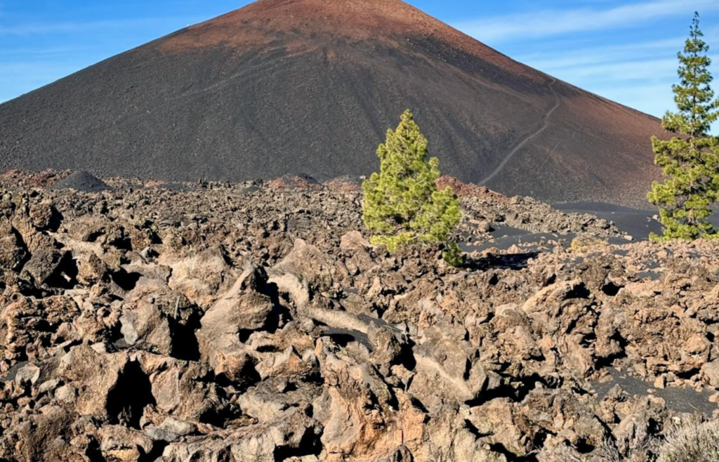 Diagram illustrating the boundaries of Earth's tectonic plates