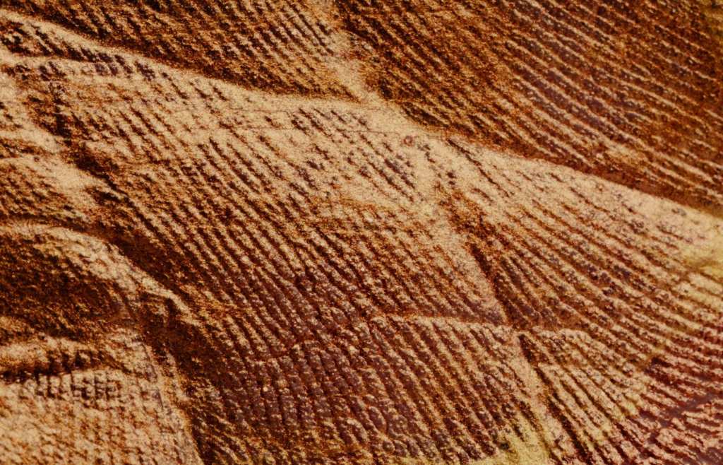 Visible fault line cutting across a landscape