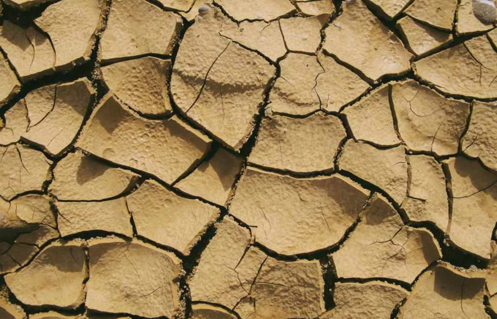 Long, narrow cracks extending across arid landscapes.