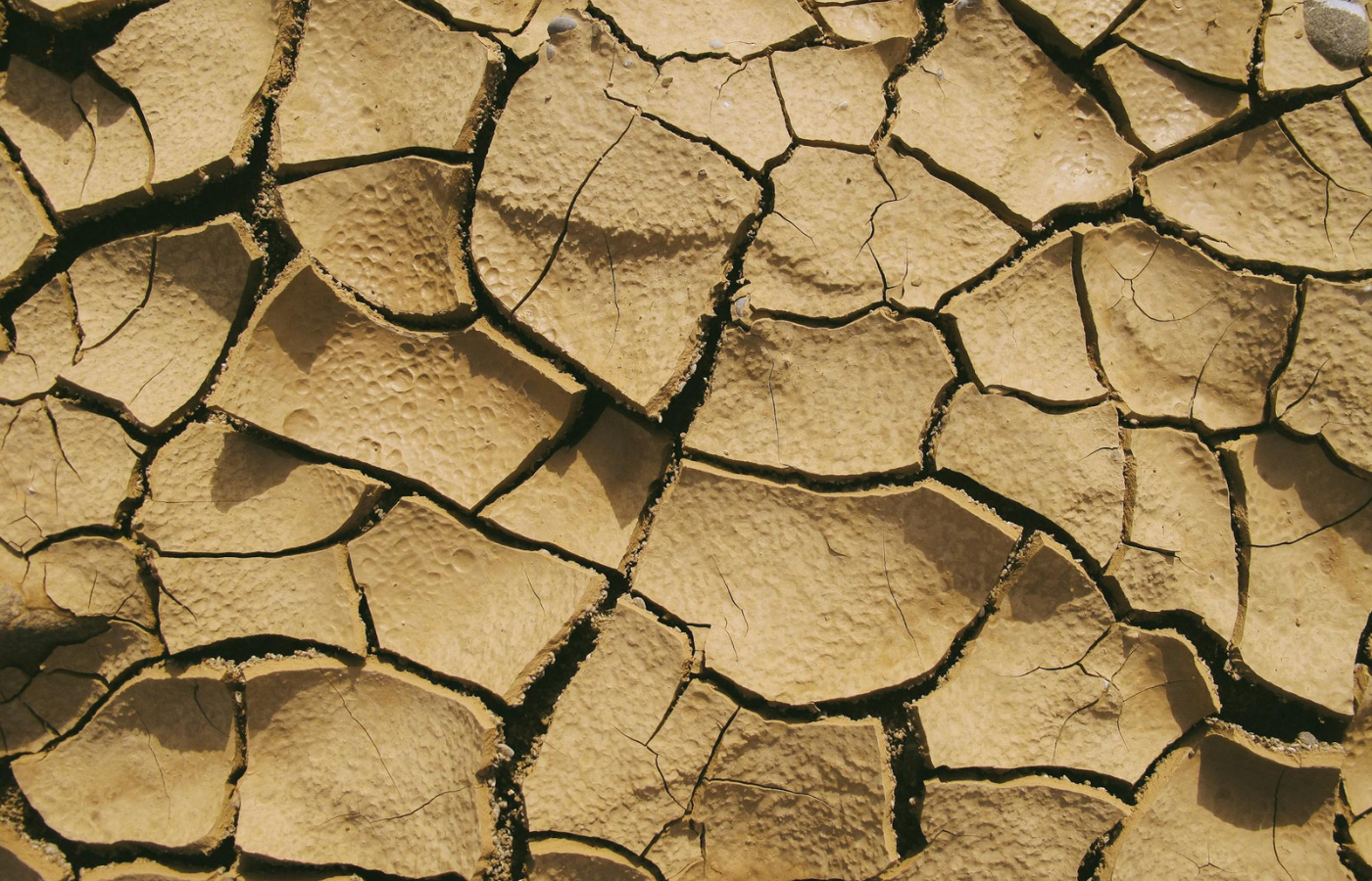 Long, narrow cracks extending across arid landscapes.