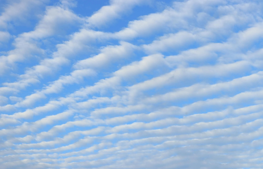 Altocumulus clouds resembling fish scales, known as a "mackerel sky.
