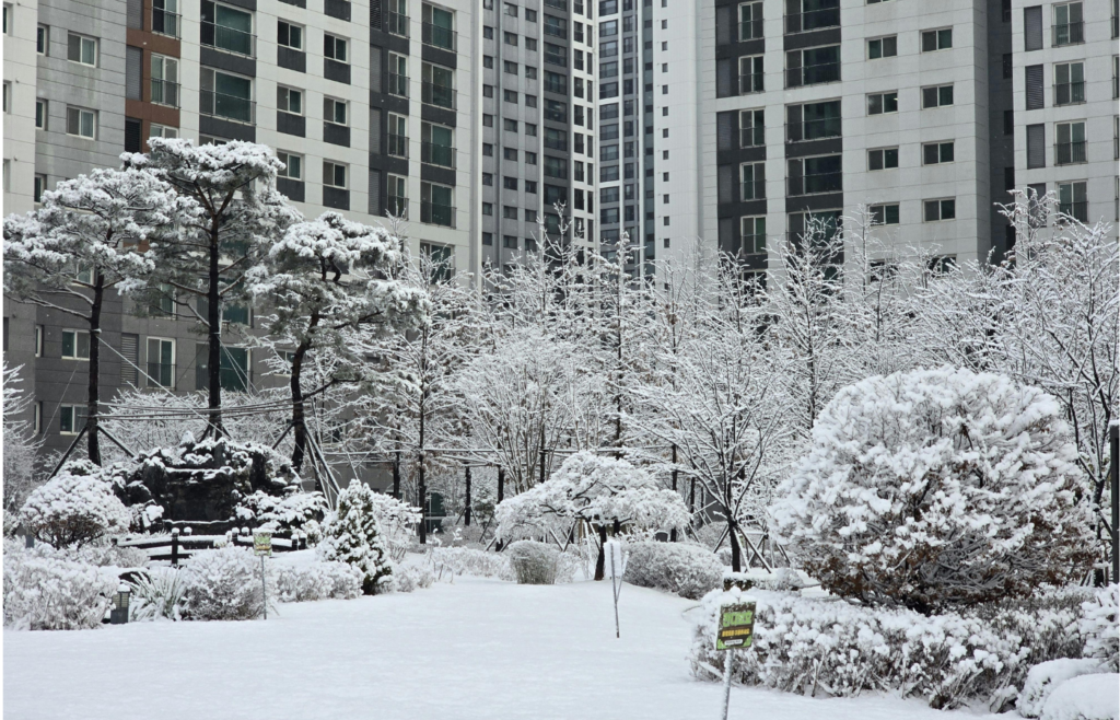 Snow-covered park