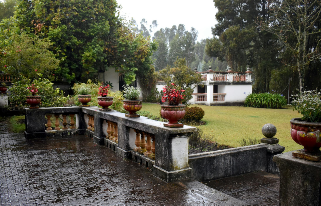 A landscaped rain garden designed to capture runoff.