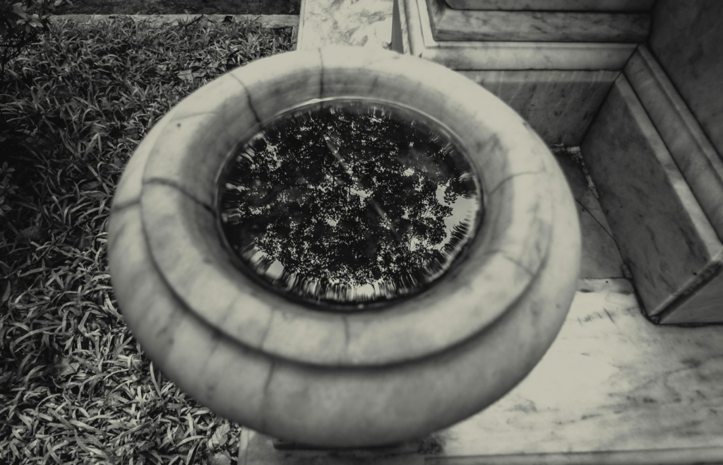 Decorative rain chains guiding water into a basin