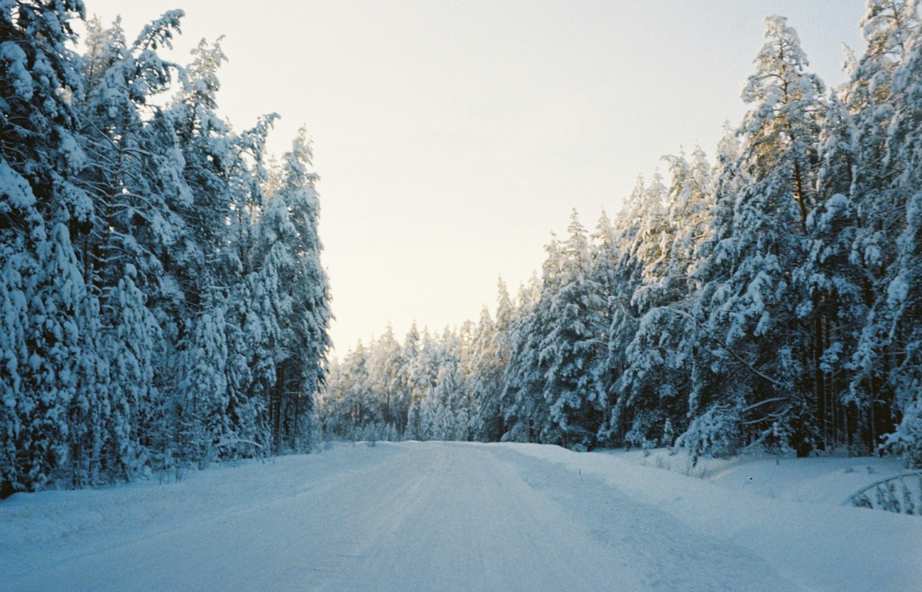 Road covered with Snow in a coniferous forest