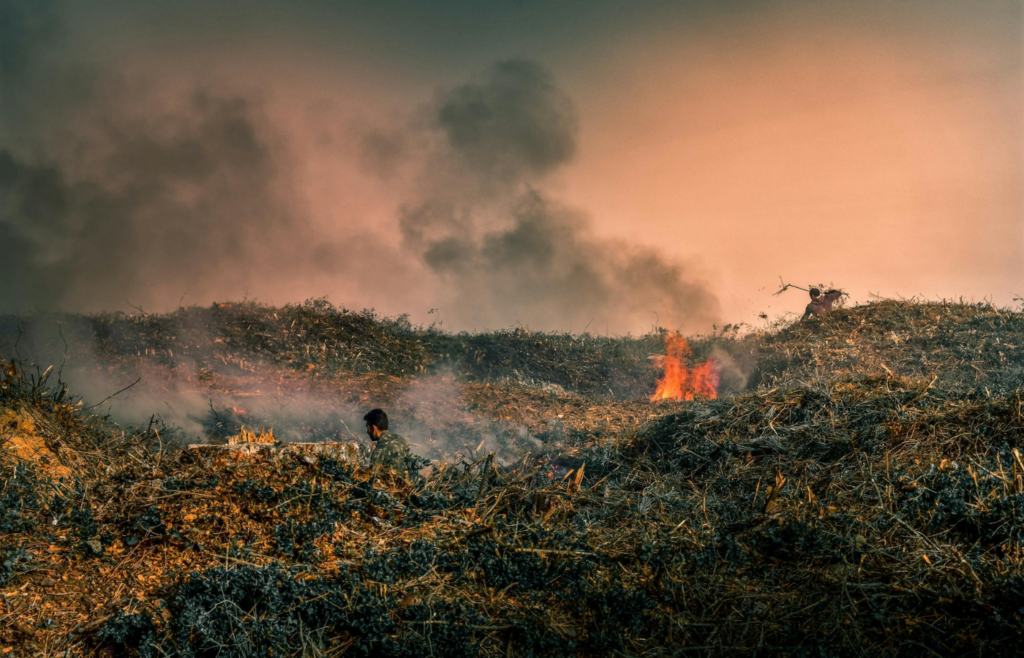 Thick smoke rising from a fire in a clearing