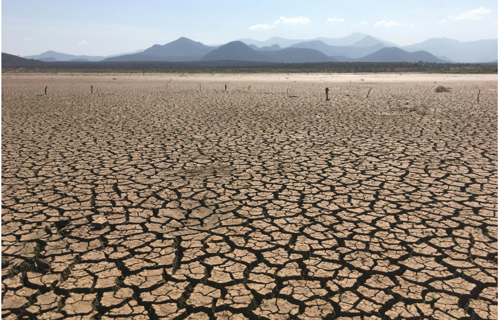 Cracks on Water Starved Soil