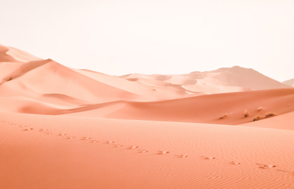 Desert scorched by the sun
