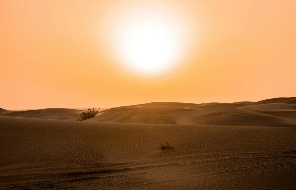 Desert under the sun