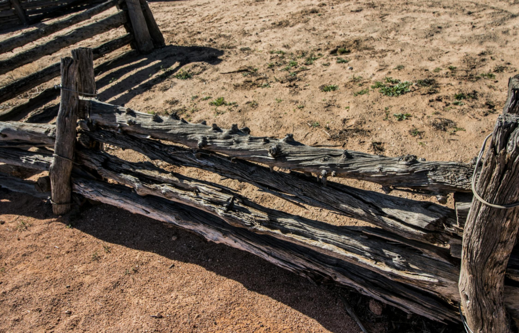 A stick casting a shadow on the ground