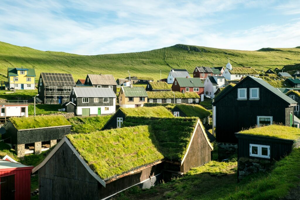 houses with green roof