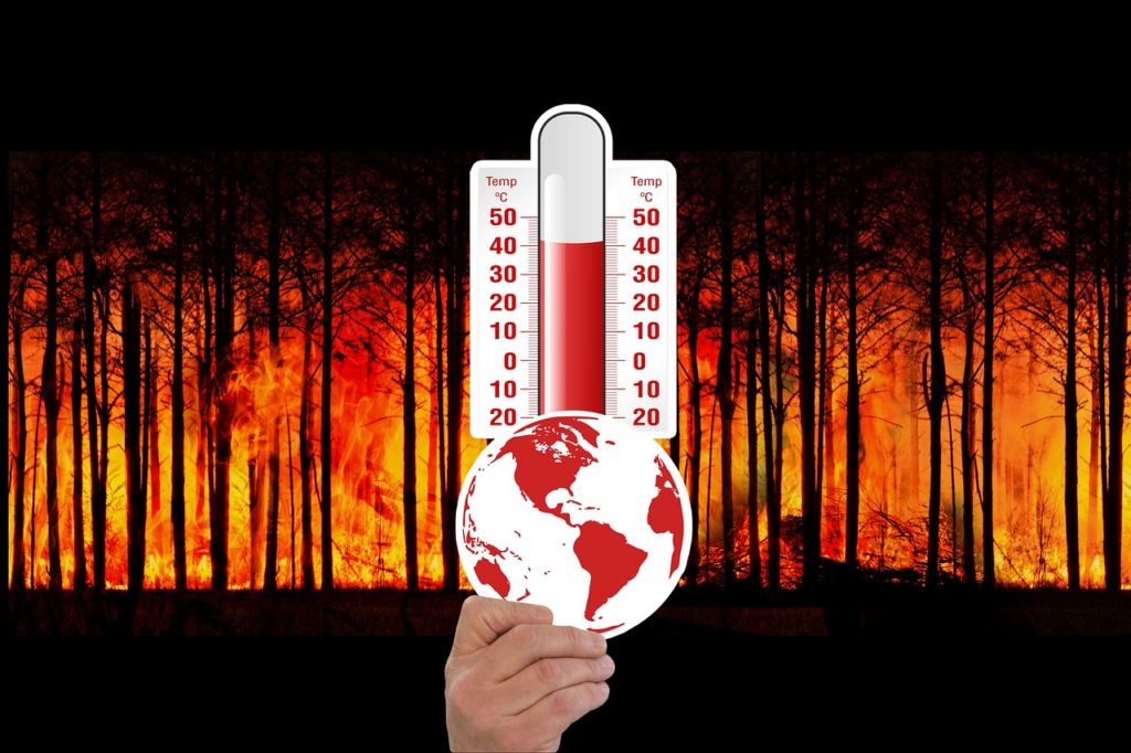 Thermometer showing the temperature of the fire