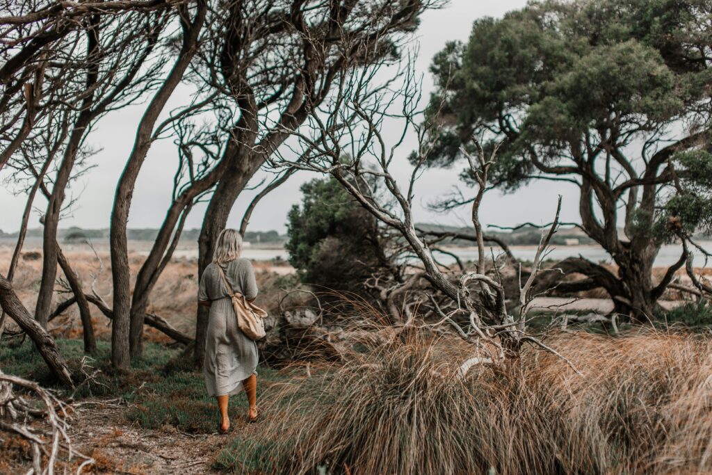 A Person Walking Under Leafless Tress