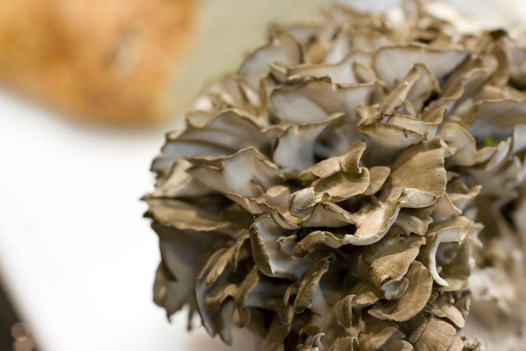 maitake mushrooms