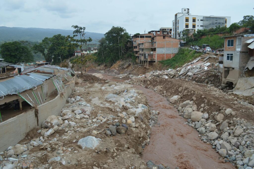 stone and debris carried by landslide